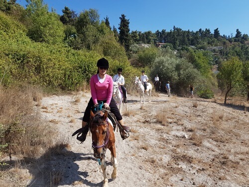 חוות סוסים נוף הרים בגליל